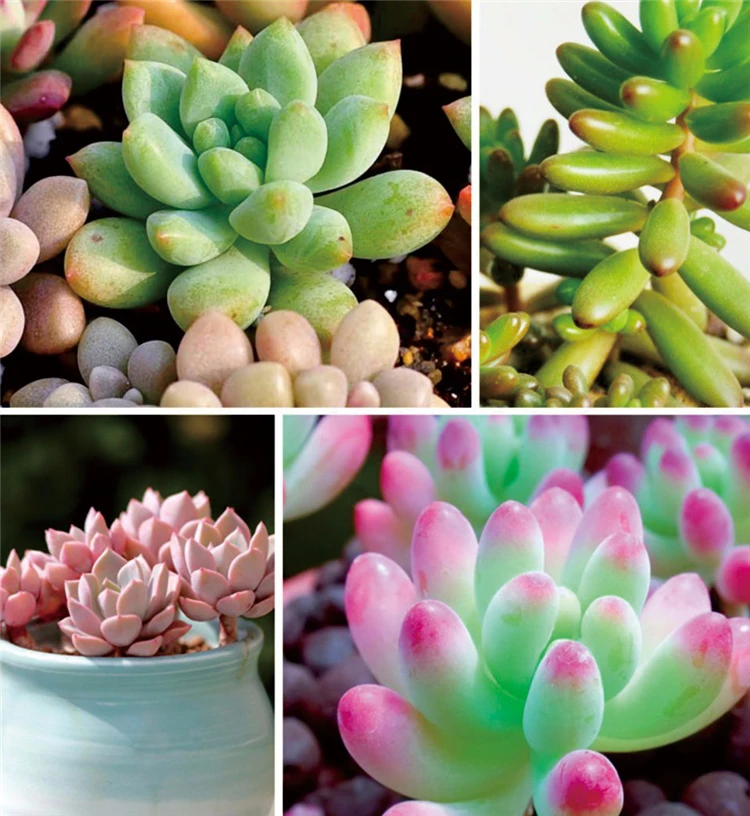 8229272841_2124912741