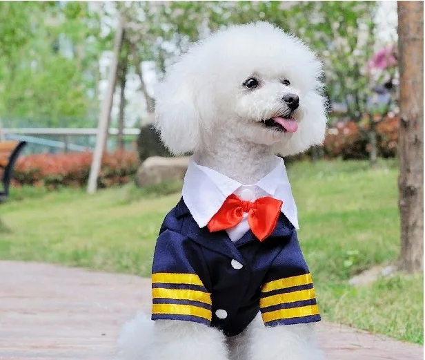 A53_Fashion_Pet_dog_Tailored_Blue_Navy_Uniform_With_Bow_Tie_Trim_For_Pet_Dog_Boy_Cheap_dog_Garments_Supplies_ (4)