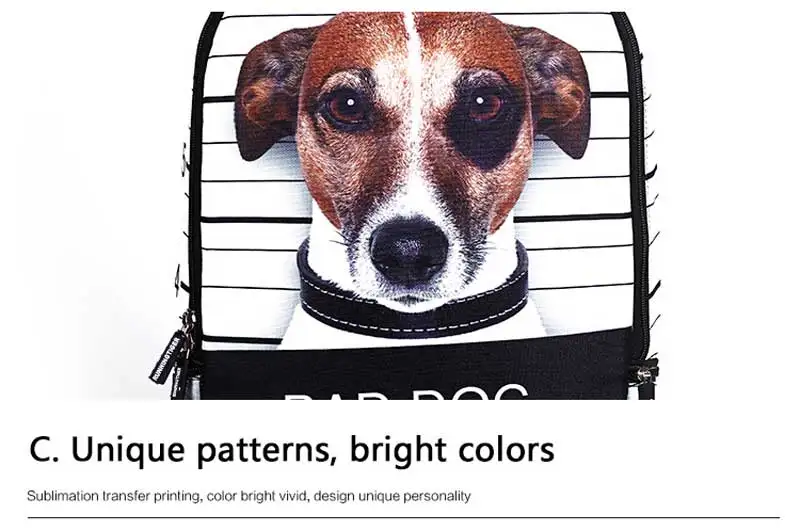 school backpacks for teenagers (20)