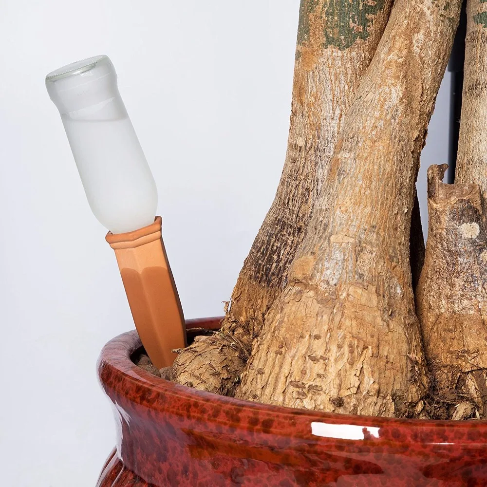 Buy Plant Watering Spikes Water Plants Garden Self