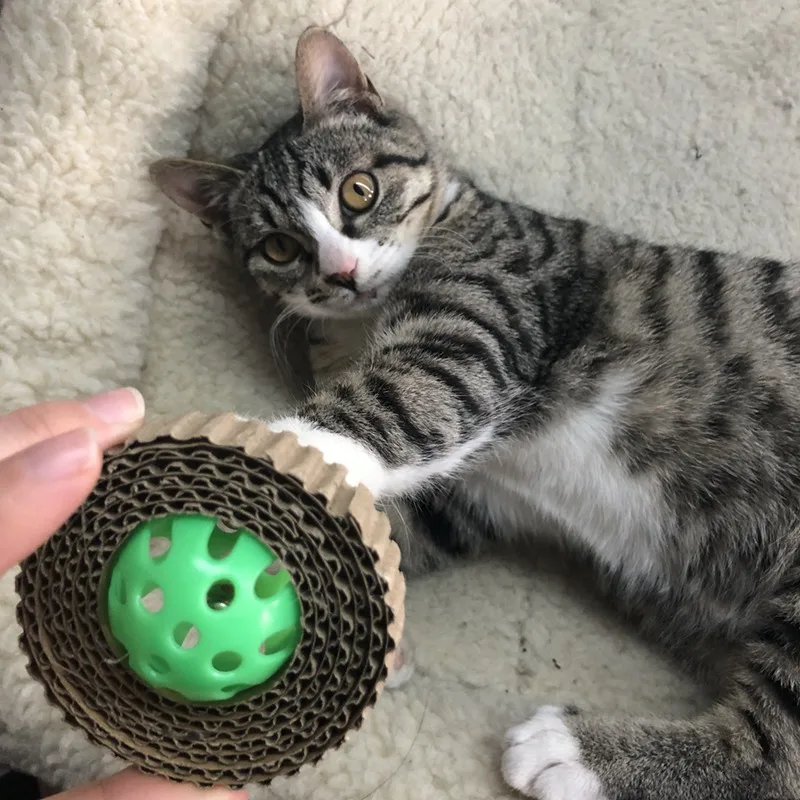 cat scraper (4)
