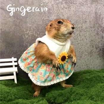 

Gingerain original hand-made custom Prairie Black-tailed Prairie Dog marmot groundhog clothes Hooded Sweater Flowers on the road