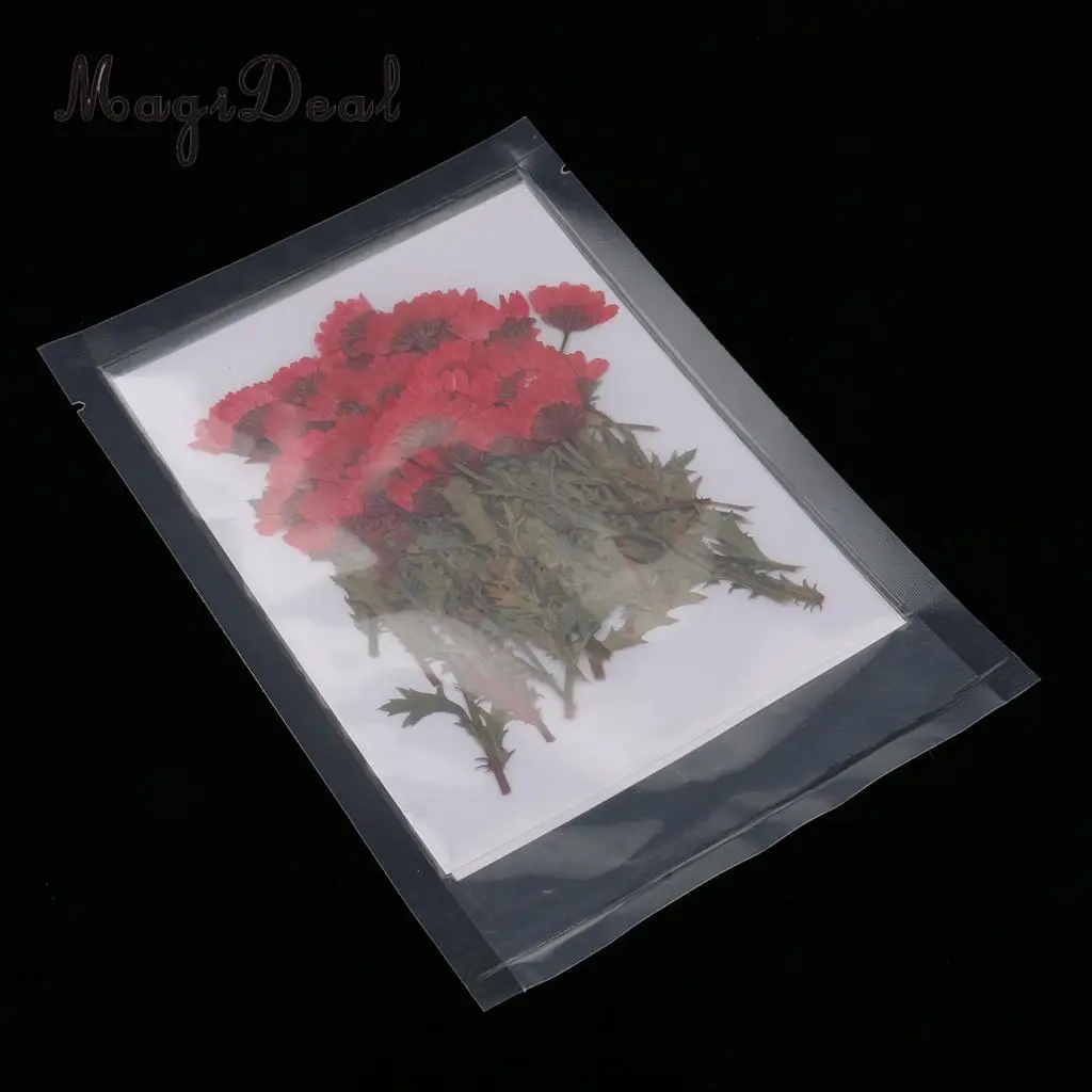 MagiDeal 50pcs Beautiful Pressed Rose Flower Dried Flowers for Art Craft Scrapbooking Card Making House Decoration