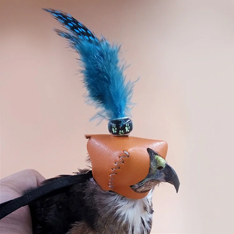 Falconry Eagle кричащий капюшон Сокол шляпа маска для глаз шлем Accipiter Nisus European Kestrel Falco