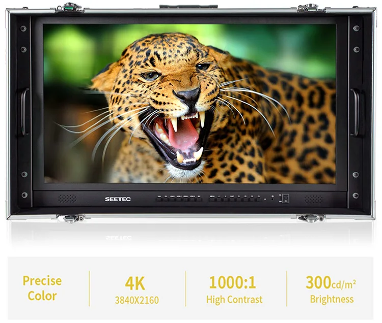 SEETEC 4K280-9HSD-CO 28 дюймов чехол для переноски-на Pro широковещательный монитор в формате 4 K UHD, 3840x2160 директор дисплей для видеонаблюдение для записи видео