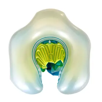 

Baby Waist Swimming Ring Inflatable Swim Pool Kids Trainer Safety Aid Infant Life Buoy Rollover Prevention