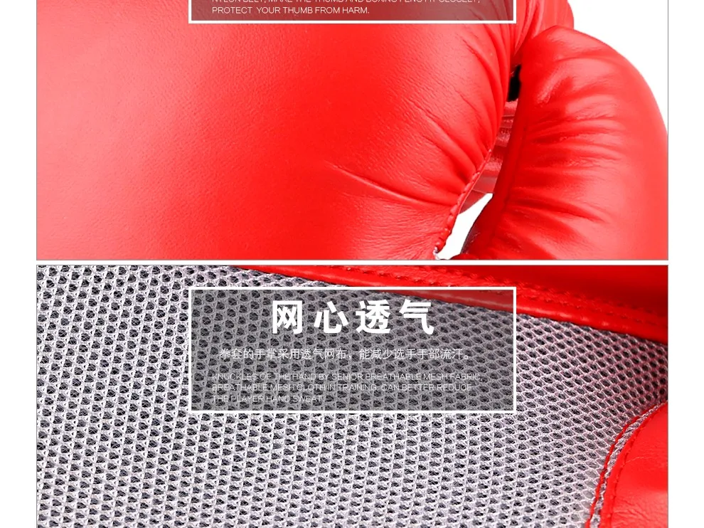 GP203 (19)
