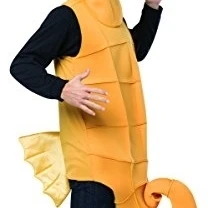 Morris GC6704 Mens Seahorse Costume Brown & Orange - One Size (1)