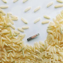 X100pcs Икар сертификации EM4305 чип RFID Стекло тег 1,25*8 мм ISO11784/11785 FDX-B Стандартный транспондер микрочип