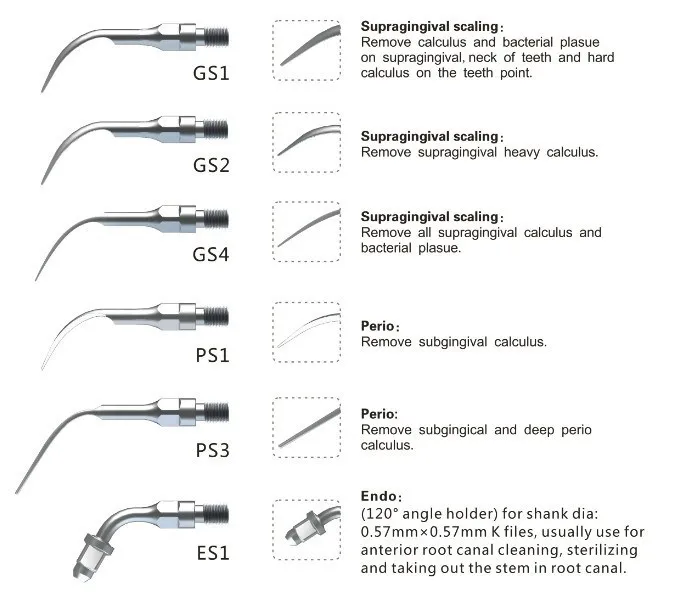 Ponta Scaler Dental Ultrasonic Dicas Padrão Sliver Gs1 Gs2 Gs4 Ps1 Ps3 Es1 Fit Sirons At39 Kit 4 High Quality Beleza e saúde