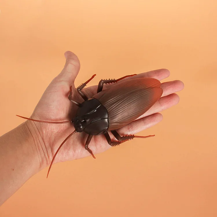 

Joke toy Remote control animal LED light RC insects Ant Cockroach Spider electronic pet robot model Prank toy Trick toy gift
