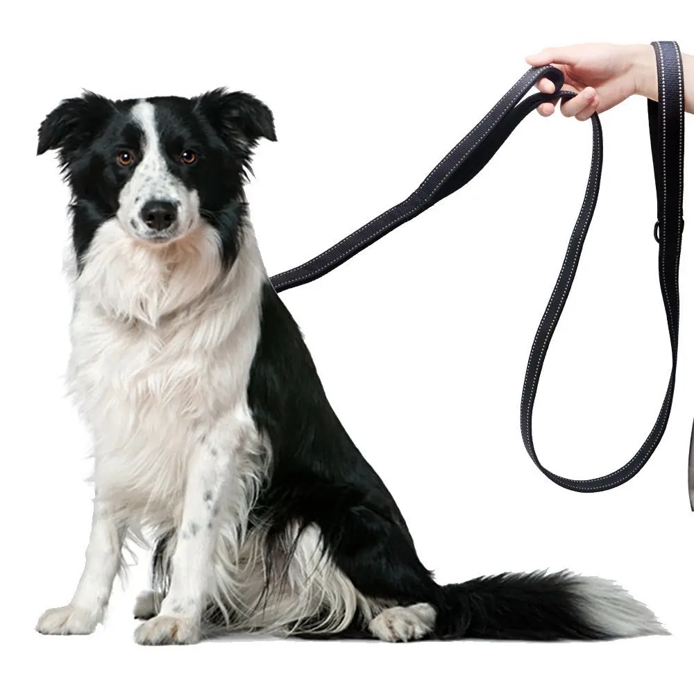 Double Handle Dog Leash Reflective Large Pet Walking Safety Rope Multifunctional Nylon Long Short Handle Training Dog Leashes 2019 Latest Style Online Sale 50% Home & Garden