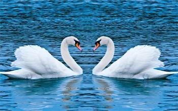 

New 5D DIY Diamond embroidery 2019 home decoration Landscape animal and flower diamond painting Cross Stitch Rhinestone