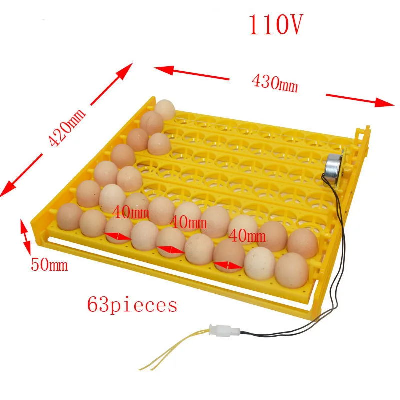 110V