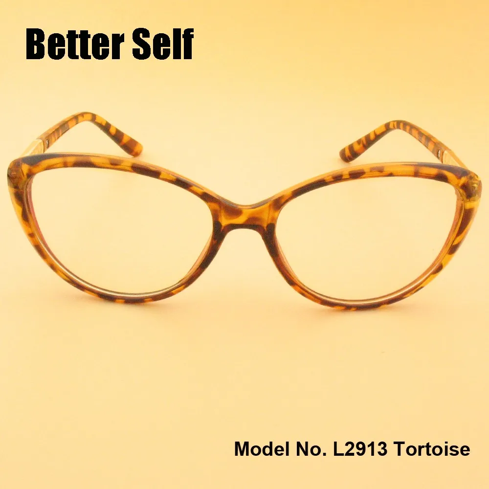 L2913-tortoise-front