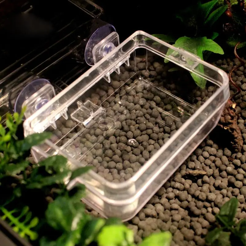 

Reptile Feeder Anti-escape Food Bowl Turtle Lizard Worm Live Food Container
