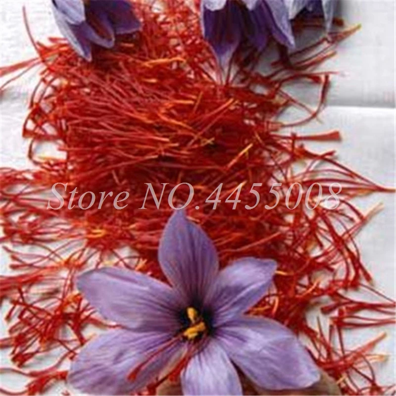 1000 Pcs/ Bag Imported Saffron Bonsai(Not Crocus Saffron Bulb) Outdoor Flower Iran Saffron Potted Plant For Home Garden Planting