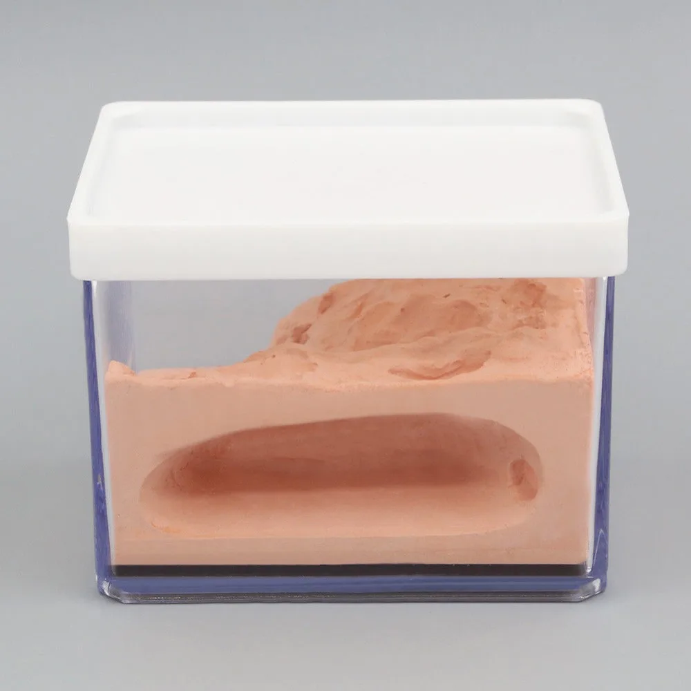Муравей гнездо корпус муравей фермы коробка Formicarium Дисплей Чехол для маленького