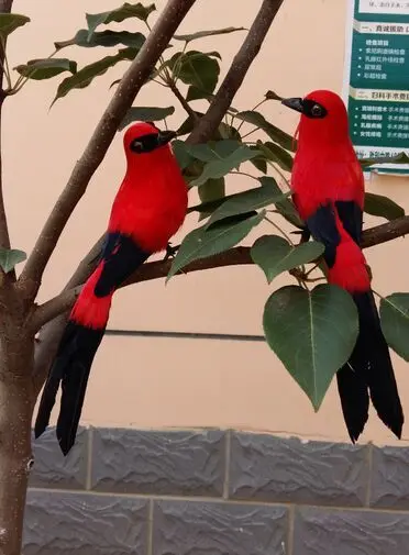 

red feathers magpie birds one lot/2 pcs about 22cm birds model handicraft prop,home garden decoration gift p2118