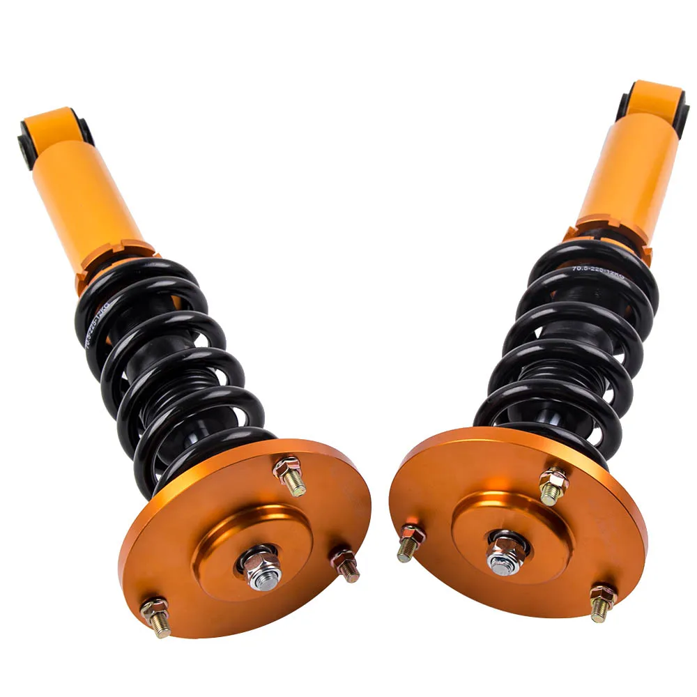 co-forexp-0306-g-na(24)
