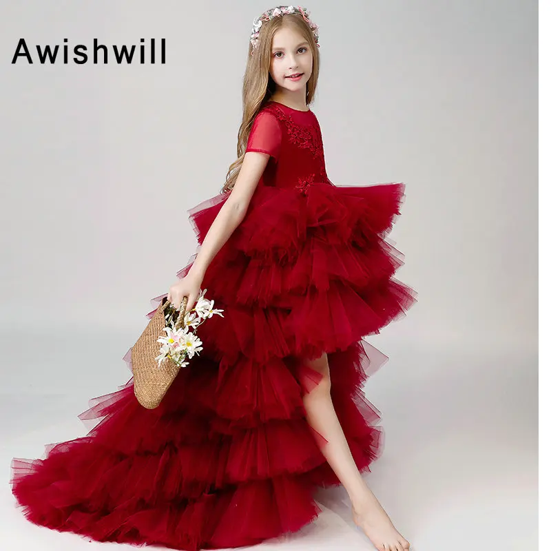 Новое поступление, платье с короткими рукавами и цветочным узором для девочек, 2019 Многоуровневое платье из тюля с аппликацией, бордовое