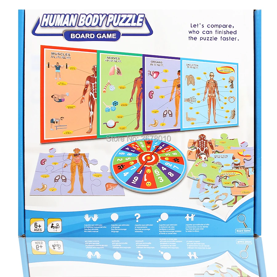 

Early Education Enlightenment Paper Jigsaw 3D Plane Human Body Learning Structure Puzzle Board Game Educational Playset