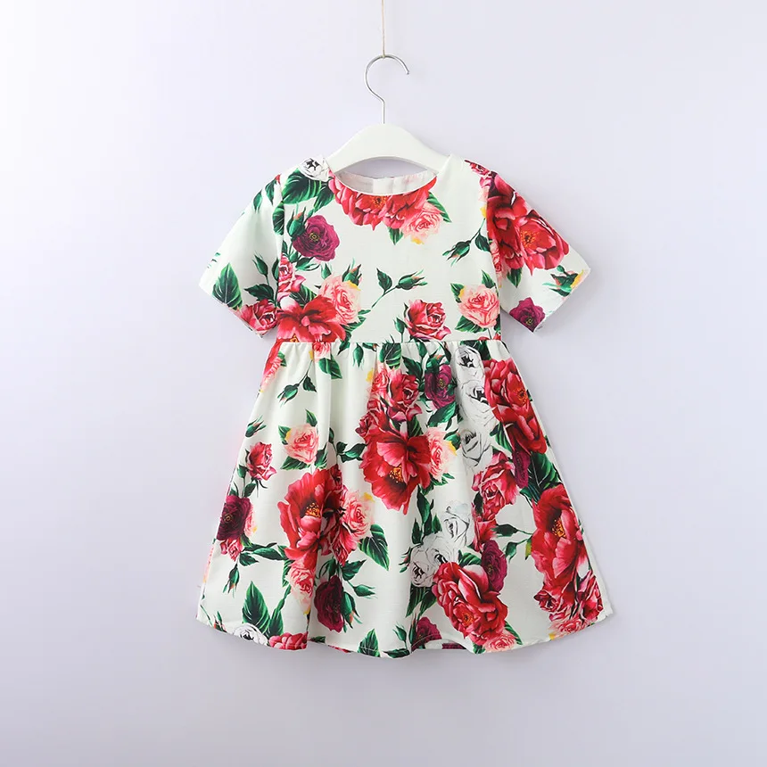 Kids Fall Dress 2018 New Baby Girl Party Dresses Cotton Print Girl ...