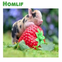 5d на заказ набор для картин из алмазов eigen foto клубника мечта свинья полный квадратный стежок Алмазная вышивка мозаика