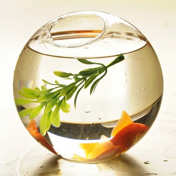 Oblique Open Glass Terrarium Aquarium Hanging Glass Globe Fish Bowl