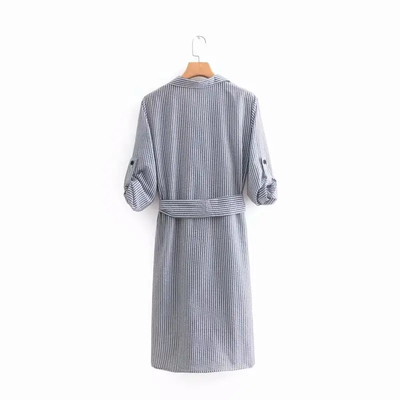 Shirtwaist Dress