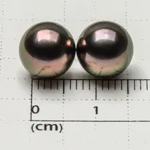 AAA 9.1 мм круглый фиолетовый Настоящее Tahitian культивированный свободные перла неразбуренные 2 шт. 10.6ct