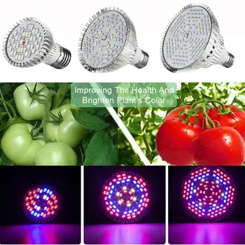 

30W 45W 80W 5730SMD LED Aluminum Plants Grow Light Full spectrum Led Light Bulbs for Seeds hydro Flower Promoting Growth