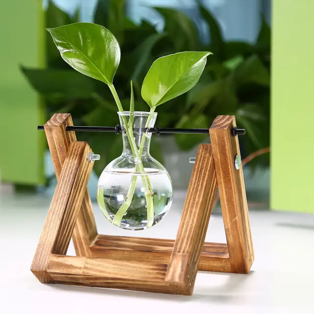 Buy Wooden Stand Transparent Glass Plant Containers