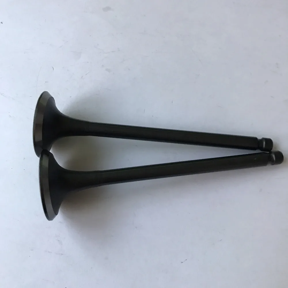 16PCS Intake & Exhaust Valve Kit For