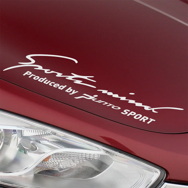 10 Pieces New Arrival PUNTO Sport Car Stickers Decal Car Styling For