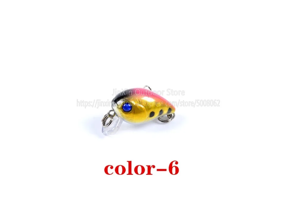 C (6)