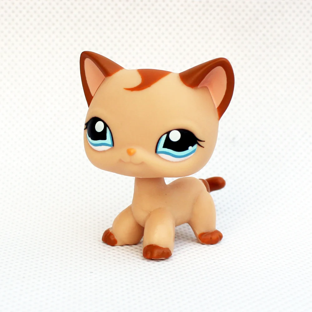 Littlest Pet Shop #1024 RARE Brown Short Hair Cat Kitty Blue Eyes LPS Toy 