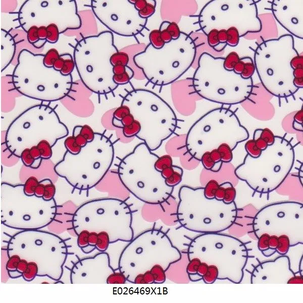 E026469X1B