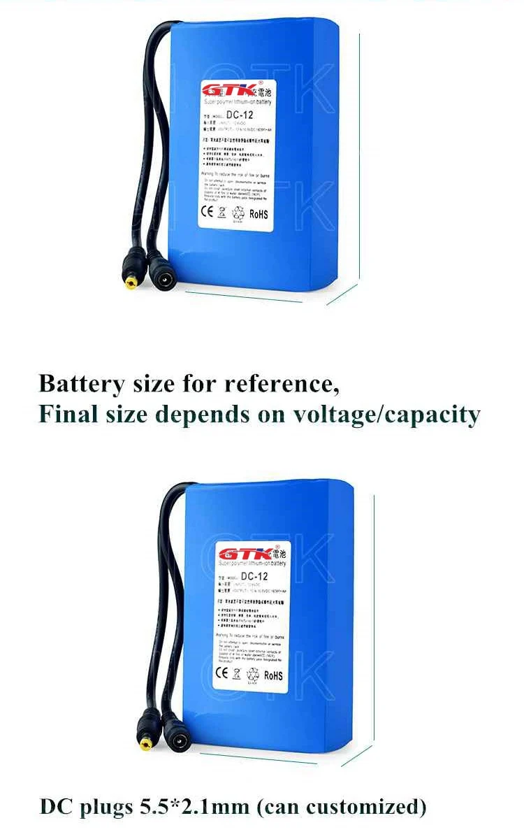 100% новая защита большая емкость 12V 10Ah 5Ah 6ah 12 8 v lifepo4 аккумулятор 12v 10000 mAh + 14 6