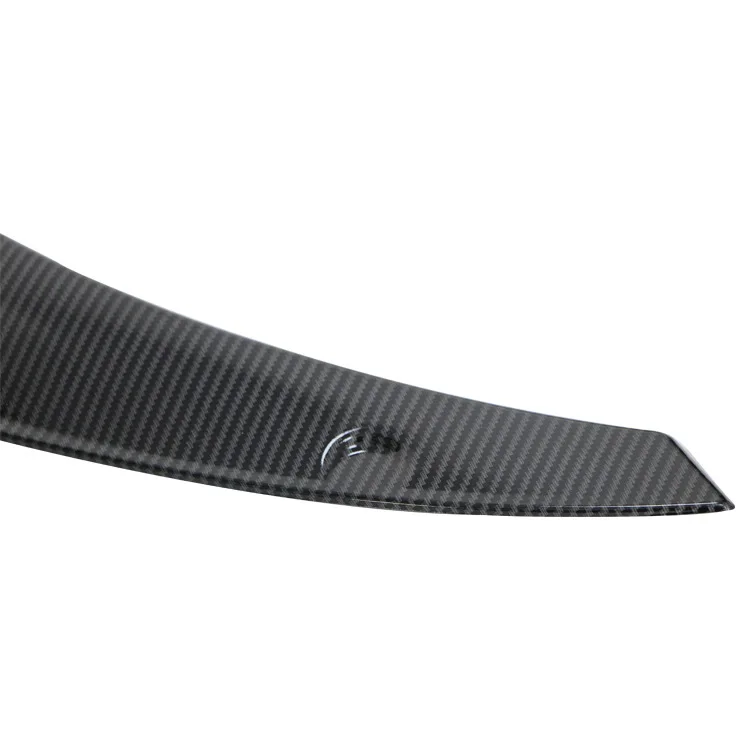 Car mudguards  (7)