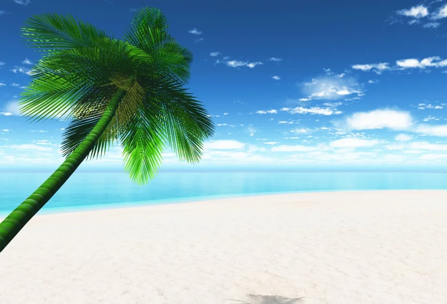 

Laeacco Photographic Backgrounds Tropical Sea Beach Palm Tree Blue Sky Cloud Holiday Photo Backdrops Photocall For Photo Studio