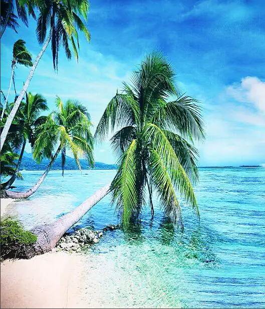 Online Get Cheap Hawaii Backgrounds -Aliexpress.com | Alibaba Group