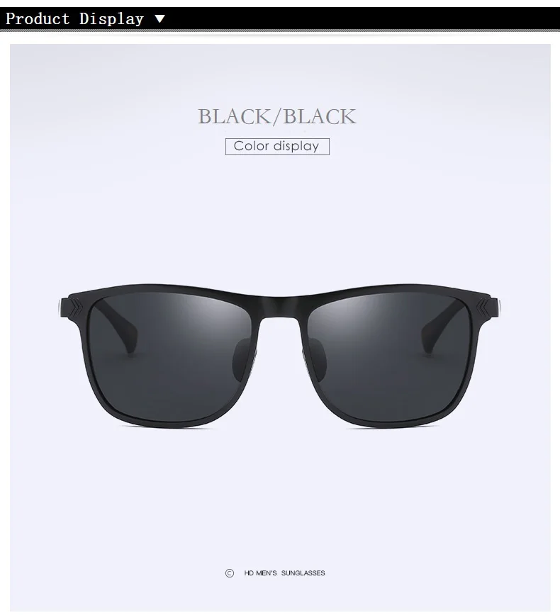 sunglasses men (8)