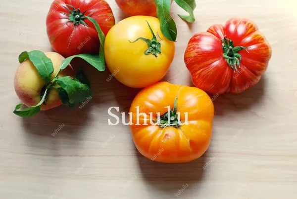 Free Shipping 200pcs Heirloom Giant Monster Tomato Bonsai Genuine Fresh Bonsai Very Rare Vegetables Bonsai For Home Garden Plant