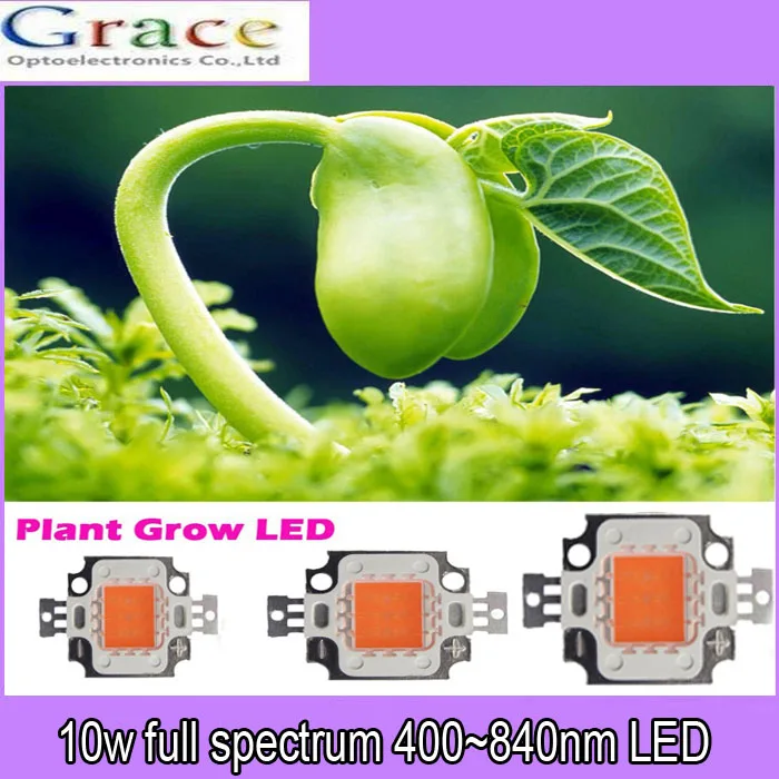 10pcs 10w cob grow led chip , full spectrum 380nm840nm full spectrum