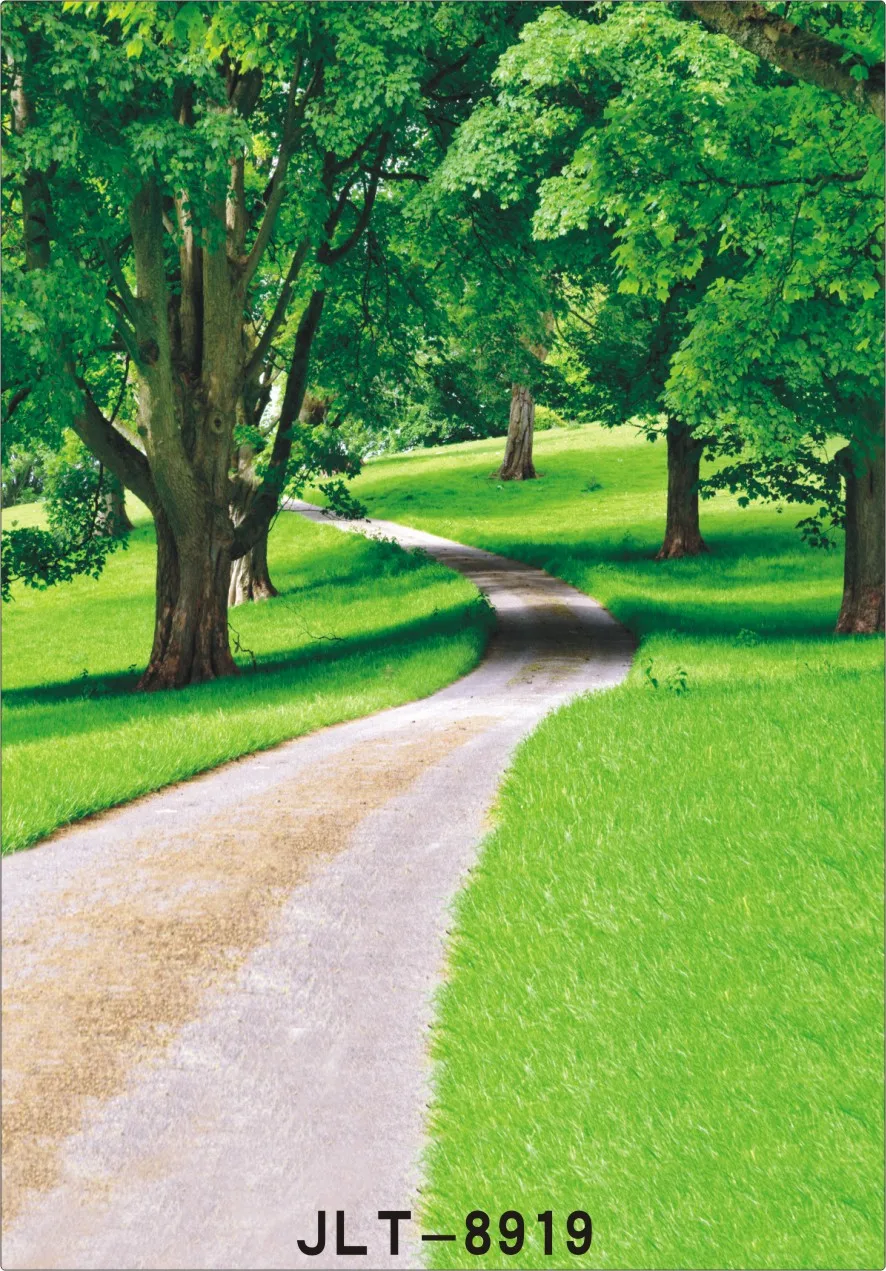 Aliexpress.com : Buy 5x7ft path in woodlandphotography backdrops Lawn