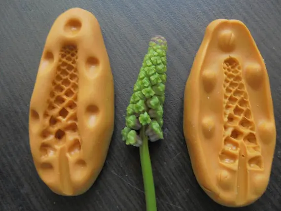

Plant foliage wheat silicone fandont mold wheat Silica gel moulds Plant Chocolate molds bud candy mould bud silicone molds