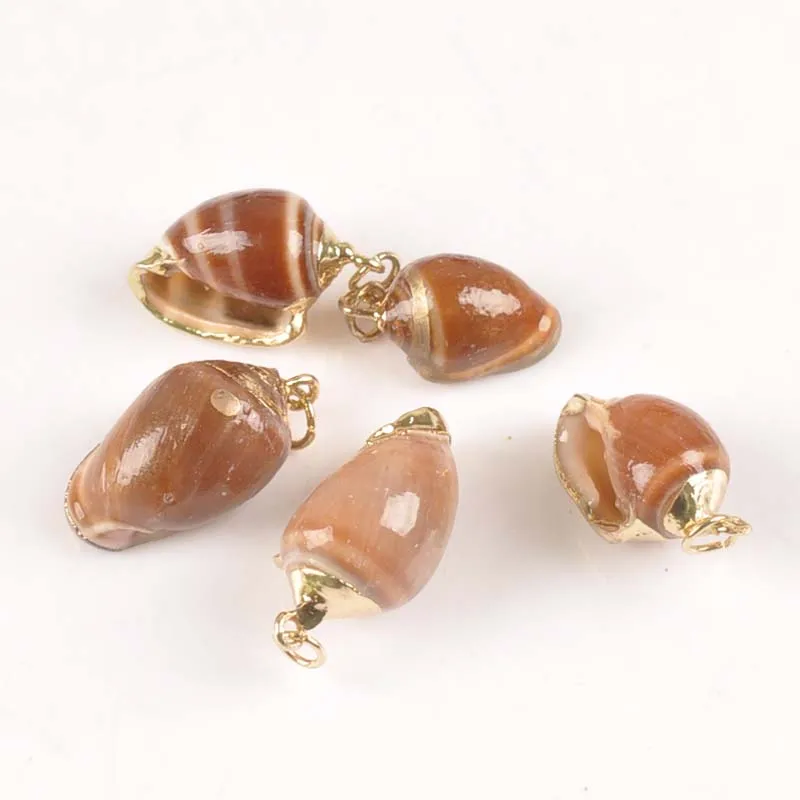 

5pcs Natural Brown Seashells For DIY PendantGold Plated Shells Craft Handmade Charms Home Decor Accessories 15-20mm tr0266