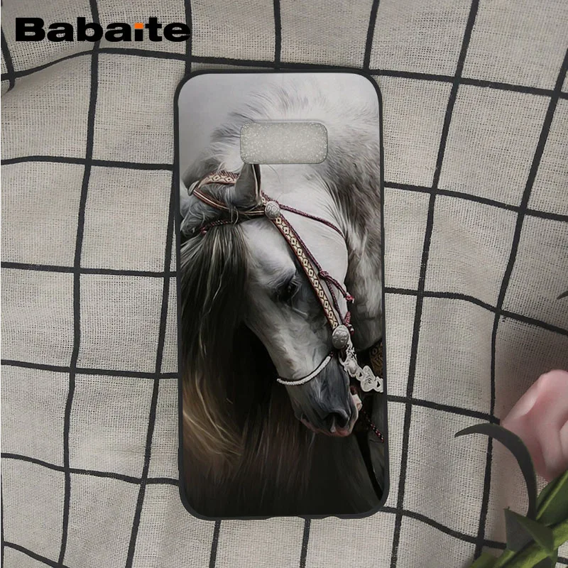 Frederik The Great beauty horse