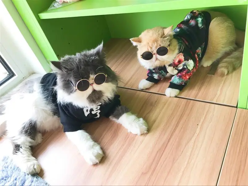 Модные очки для собак и кошек, для щенков, для глаз, для собак, солнечные очки Китти, реквизит для фотографий, аксессуары для животных принадлежности очки «кошачий глаз», размер S